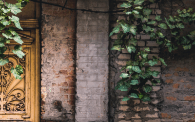 When “No Uterus” Does Not Mean No Hope: Motherhood Through Surrogacy